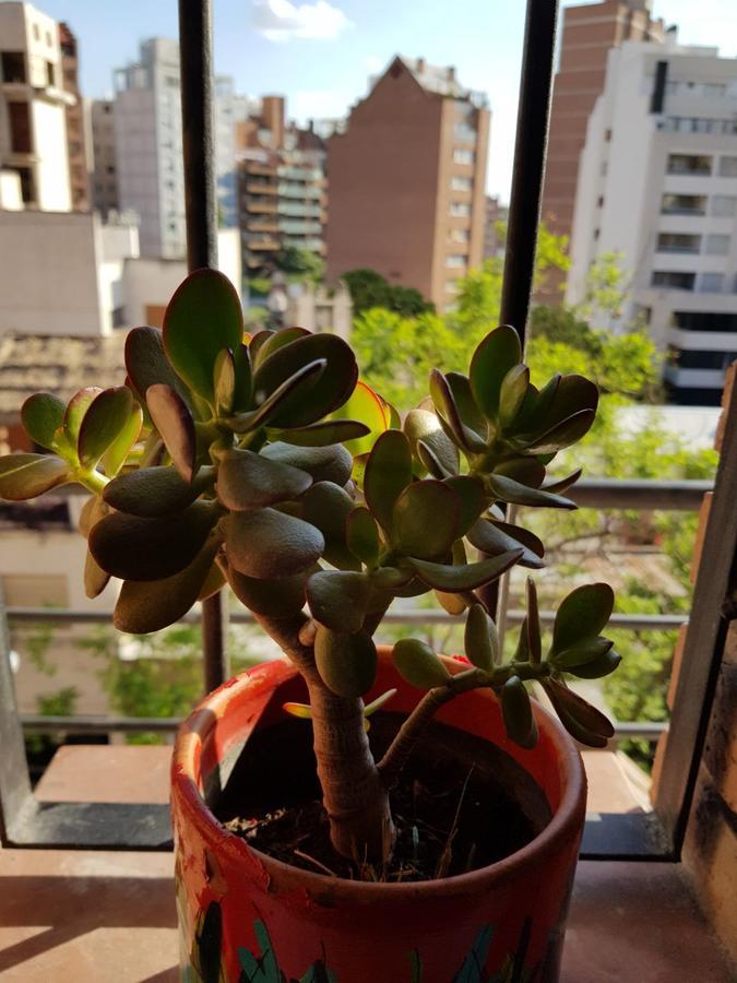 Apartamento Carlucci Córdoba Exteriör bild